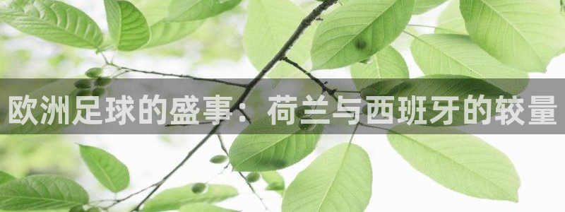 26世界杯:欧洲足球的盛事:荷兰与西班牙的较量