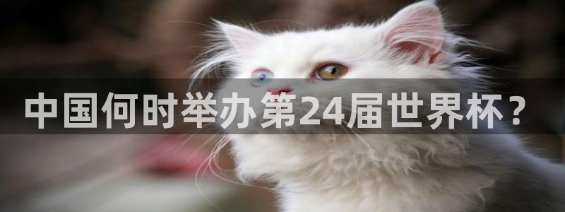 世界杯2026赛程时间表格:中国何时举办第24届世界杯?