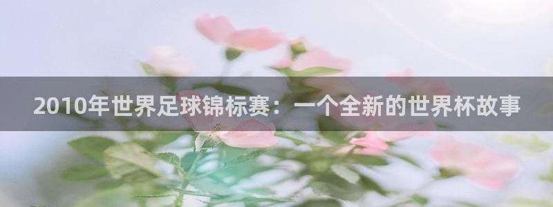 西超杯直播:2010年世界足球锦标赛:一个全新的世界杯故事