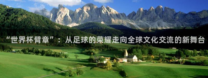世界杯球赛:“世界杯臂章”:从足球的荣耀走向全球文化交流的新舞台