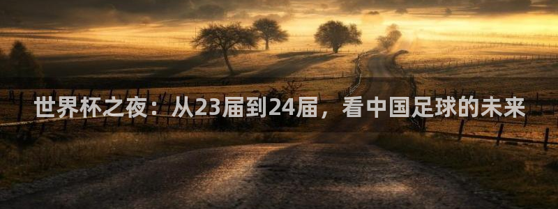 2026世界杯小组赛赛程时间表:世界杯之夜:从23届到24届,看中国足球的未来
