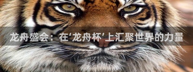 欧联杯直播:龙舟盛会:在‘龙舟杯’上汇聚世界的力量