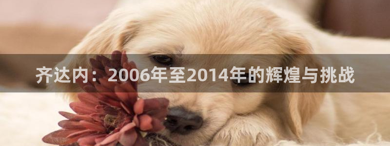 女足世界杯直播在线观看免费高清:齐达内:2006年至2014年的辉煌与挑战