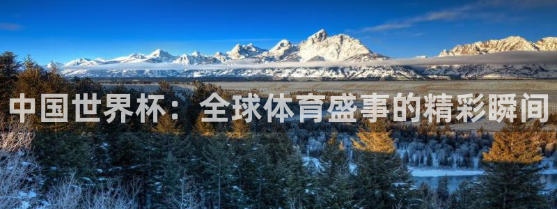 足球世界杯2026:中国世界杯:全球体育盛事的精彩瞬间