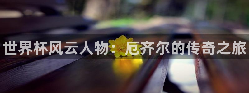 世界杯转播表:世界杯风云人物:厄齐尔的传奇之旅